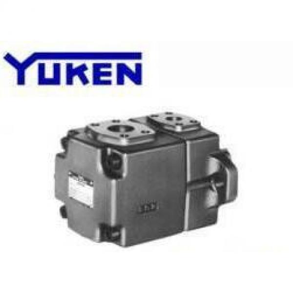 YUKEN PV2R2-41-F-LAA-4222 #1 image